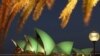 Australia's Economy Faces a Year of Challenges