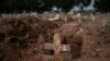 G-20 Pledges More Than $21 Billion to Fight Coronavirus