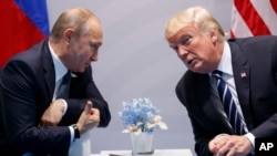 U.S. President Donald Trump meets with Russian President Vladimir Putin at the G-20 Summit, July 7, 2017, in Hamburg.
