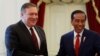 Pompeo Ya Dawo Gida Daga Asia