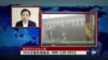 时事大家谈：解读四中全会公报