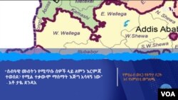 አምነስቲ 
