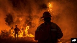 Members of the Grizzly Firefighters fight the Carmel Fire near Carmel Valley, Calif., Aug. 18, 2020.