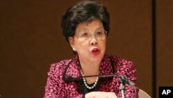 En una conferencia que se llevó a cabo en La Habana, Chan exhortó a las autoridades cubanas a no cometer los errores de otros gobiernos en su modernización.