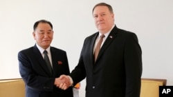 Visoki severnokorejski zvaničnik Kim Jong Čol rukuje se sa američkim državnim sekretarom Majkom Pompeom, Njujork 31. maj 2018.