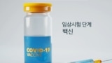 코로나 백신 개발, 어디까지 왔나