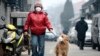 Millions Die Every Year From Air Pollution