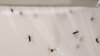 Death Toll From Malaria Among African Children Called Unacceptably High
