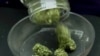 加州五十亿美元大麻市场吸引全球游客？
