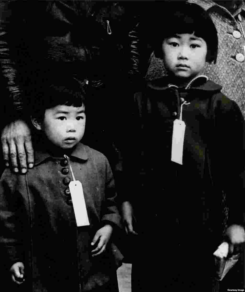 AQSh hukumatining ko'rsatmasiga ko'ra, yapon bolalari raqam, shaxsiy ma'lumot yozilgan yorliqlar taqib yurishga majbur edi. 1942-yil. Kaliforniya. Amerikalik suratkash, fotojurnalist Doroteya Lang Buyuk tushkunlik davrini mohirona tasvirga tushirgan. U hujjatli fotografiya rivojiga qo'shgan hissasi bilan tanilgan.