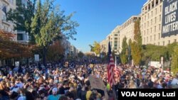 Cientos de personas celebrar en Washington D.C. la victoria proyectada del demócrata Joe Biden. 