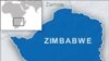 Zimbabwe Legislator Freed on Bail After Calling President Gay