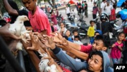 Des survivants du tremblement de terre se battent pour recevoir des vivres devant un camp de fortune à Palu, dans le centre de Sulawesi, Indonésie, 2 octobre 2018.