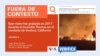 Video antiguo del rescate de un conejo es difundido como si fuera de los incendios de California en 2025