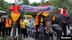 Kampanye referendum konstitusi Thailand di provinsi Ayutthaya, Thailand Senin (1/8).