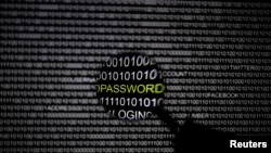 A magnifying glass is held in front of a computer screen in this picture illustration.