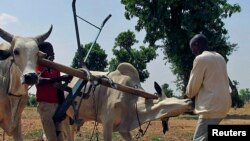 The agricultural season looks bleak in Zimbabwe as farmers claim that they were not paid by the GMB for farm produce delivered last year.
