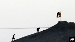 FILE - In this image shot with an extreme telephoto lens and through haze from the outskirts of Suruc at the Turkey-Syria border, militants with the Islamic State group are seen after placing their group's flag on a hilltop at the eastern side of the town