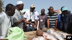 Senegalese fishermen talk with environmental groups about the changes they've seen in fishing stocks