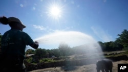 Hottest Day Globally