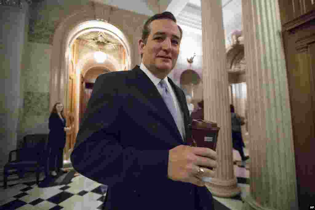 美国参议员克鲁兹(Ted Cruz)离开参议院议事厅(2017年2月3日) 。克鲁兹和莱希(Patrick Leahy)参议员联名致信苹果公司的库克,质疑苹果公司下架VPN的决策。VPN的全称是虚拟私人网络,可以改变并加密用户的互联网接入地址。在防火长城高耸的中国,网民以此来绕开互联网封锁,俗称“翻墙”。这两名美国参议员说,防火长城对中国人民的威胁不亚于28年前柏林墙对东德人民的威胁,只要防火长城在,并获得美国技术公司的支持,中国的互联网自由就处于风险中。而苹果公司回应说,苹果公司在中国的存在“有助于促进更大程度的开放,推动思想和信息的自由流动”。“我们深信,让苹果公司能最好地推动基本权益, 包括言论自由权的方式就是参与,尽管我们可能不同意某些国家的法律。” 