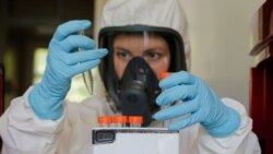 A scientist works inside a laboratory of the Gamaleya Research Institute of Epidemiology and Microbiology during the testing of a coronavirus vaccine, in Moscow, Russia, Aug. 6, 2020. (Russian Direct Investment Fund / Handout via Reuters)