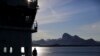 Animals at Risk from Increased Arctic Shipping