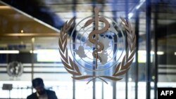 世界衛生組織日內瓦總部的世衛組織標誌。(2020年1月12日)