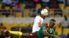 Dorgommii Kubbaa Miilaa Biyyoota Afrikaa Bara 2017, Gaaboon<br />
&nbsp;