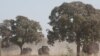France and West African Countries Intervene in Mali