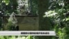 美国部分狼种的保护尚未成功