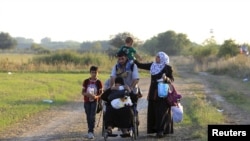 Migrantes sirios curzando hacia Hungría a través de la frontera con Serbia, el sábado, 29 de agosto de 2015. 