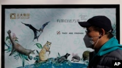 A man wearing a protective face mask walks by a propaganda poster promoting to protect wildlife animals after authorities crackdowns on wild animal markets following the coronavirus outbreak in Beijing, Wednesday, March 11, 2020. For most, the…