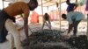 Le cobalt classé "minerai stratégique" en RDC