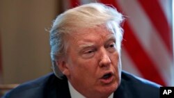 El 8 de noviembre de 2017 se cumple un año desde la elección de Donald Trump como presidente de Estados Unidos.
