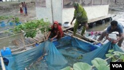 Floating farms of Bangladesh