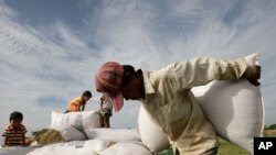 A man carries a sack of rices to dry under sunlight at a rice farm, as children play in the background, Kork Banteay village, Kandal province, Cambodia, Friday, June 22, 2012. (AP Photo/Heng Sinith)
