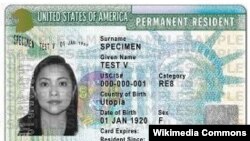 នេះ​ជា​គំរូ​នៃ​ប័ណ្ណ​បៃតង ឬ Green Card។