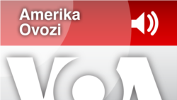 "Amerika Ovozi" xabarlari, 8-fevral, 2014