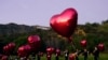 Este año coinciden el Miércoles de Ceniza y el Día de San Valentín ¿Cuál tiene prioridad?