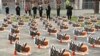 New Studies Show Drops in World Insect Population