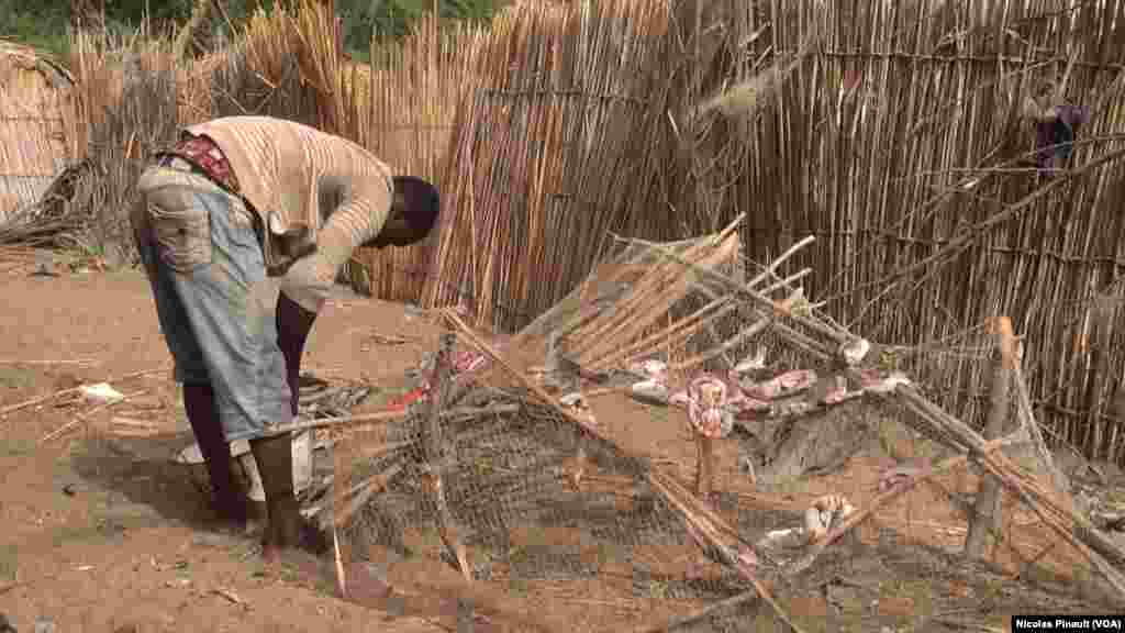 Un jeune pêcheur nigérian fait sécher ses poissons dans le village de Tagal, Tchad, le 24 avril 2017 (VOA / Nicolas Pinault)