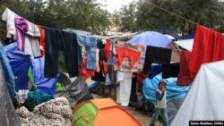 México: Reacciones posible Quédate en México