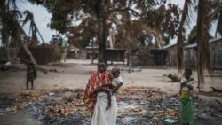Insurgência em Cabo Delgado é preocupante, diz secretário de Estado-Adjunto americano