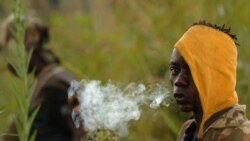 Un combattant de la Force patriotique de résistance pour la milice de l'Ituri (FRPI) fume, le 28 juillet 2006, près de Tchei, dans le sud de l'Ituri. (Photo by LIONEL HEALING / AFP)