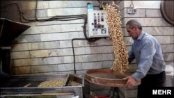 پسته یکی از اقلامی بود که قیمت سرسام آورش، آن را از سفره شب عید پارسال مردم حذف کرد.