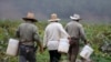 Senadores de EE.UU. piden proteger a los latinos indocumentados ante la COVID-19