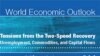 IMF : Ekonomi Global Dapat Melemah Tahun Ini