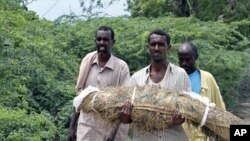 Wani mutum dauke da gawar danshi da ya mutu sakamakon karancin abinci a Somaliya.