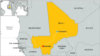 Malian forces kill Islamic State commander 